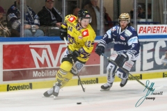 Iserlohn Roosters - Krefeld Pinguine am 24.10.2019