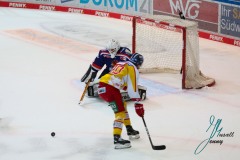 Roosters gegen DEG