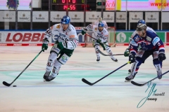 Iserlohn Roosters - Augsburger Panther