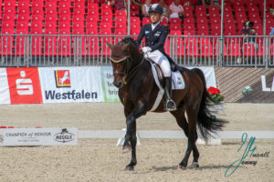 Ingrid Klimke und Franziskus beim Turnier der Sieger