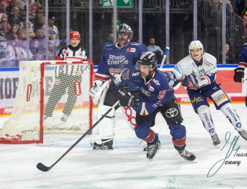 Haie festigen Platz 6