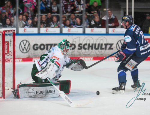 Zäher Start zwischen den Roosters und Augsburg