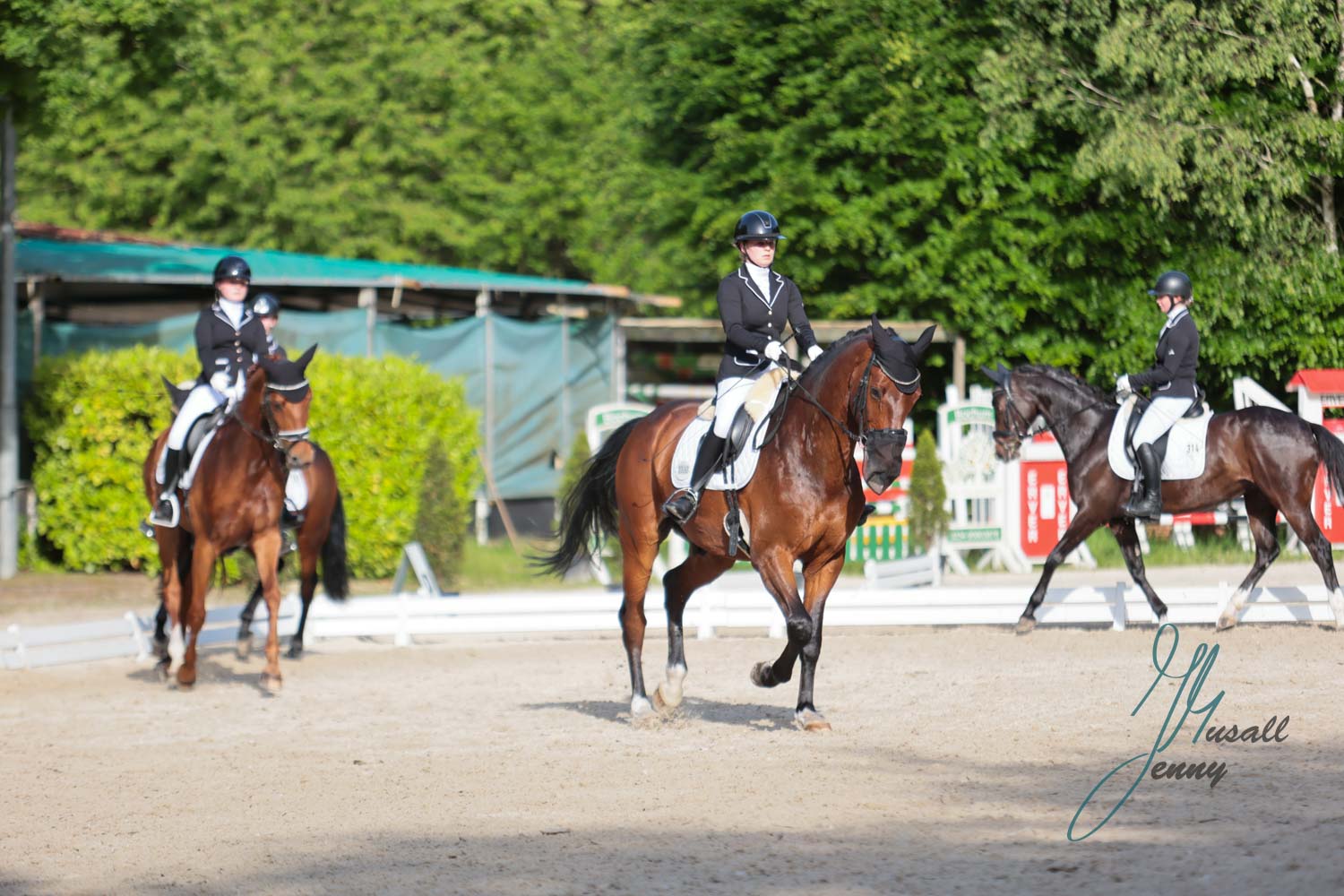 Mannschaftsdressur beim Reitturnier in Bochum-Nord