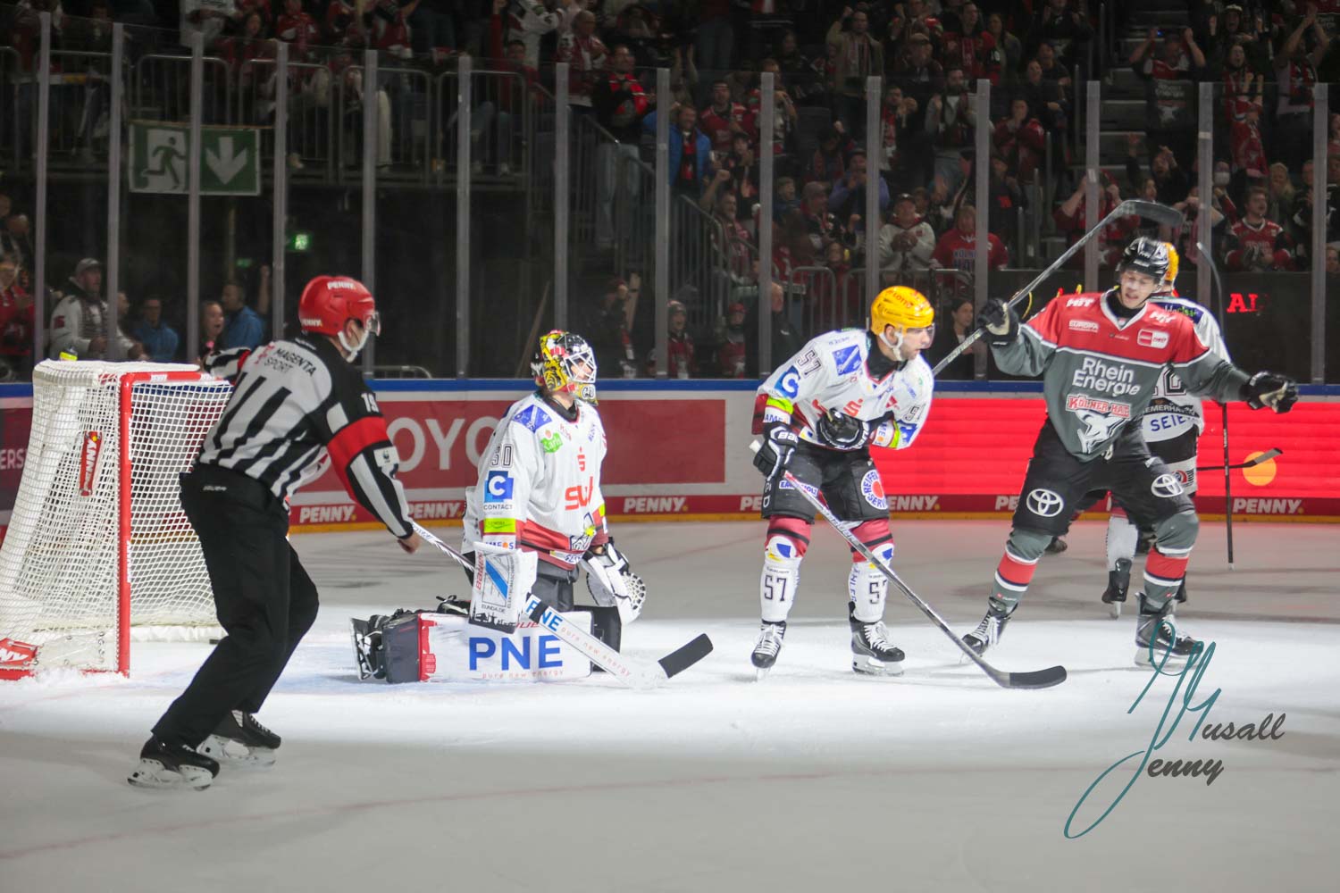 im Spiel der Koelner Haie gegen Pinguins Bremerhaven am 18.10.2026